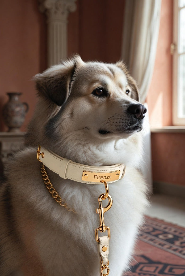 Pet Humanization Empire | Pet Beds, Collars, Treats & Keepsakes