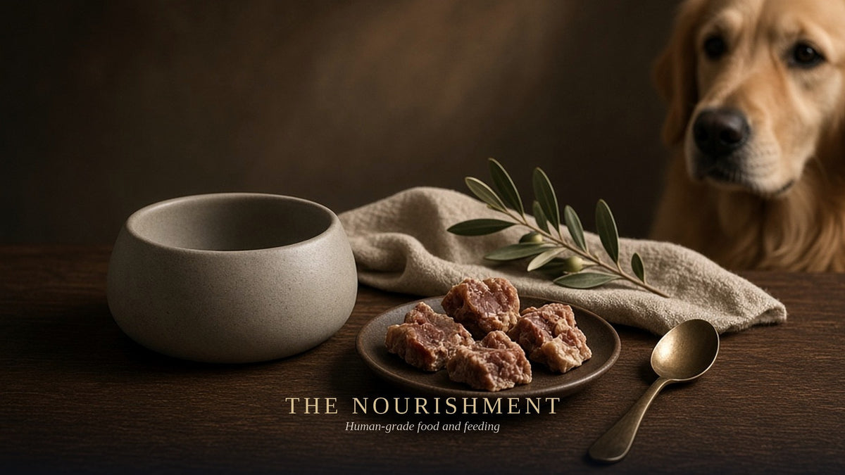 The Nourishment — Food, Treats & Feeding