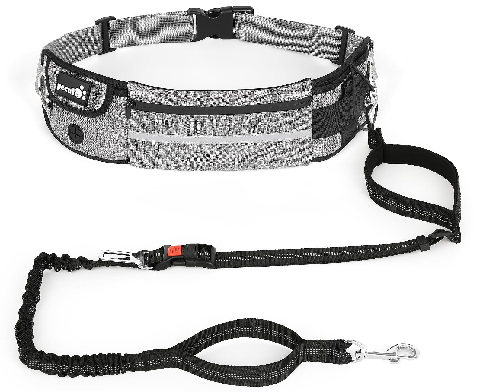 TrailBlazer Handsfree-Hundeleinen-Set