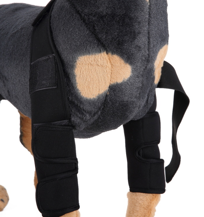 Kniebandage für Hunde