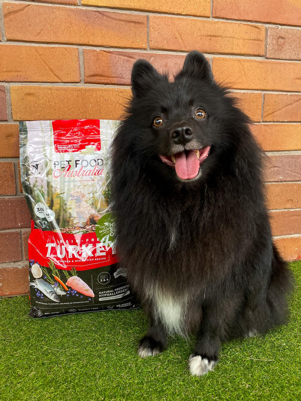Turkey, Chicken & Ocean Fish Dry Dog Food
