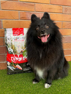 Turkey, Chicken & Ocean Fish Dry Dog Food