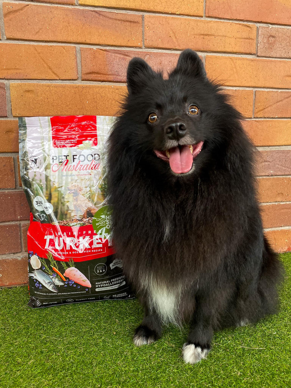 Turkey, Chicken & Ocean Fish Dry Dog Food