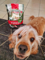 Turkey, Chicken & Ocean Fish Dry Dog Food