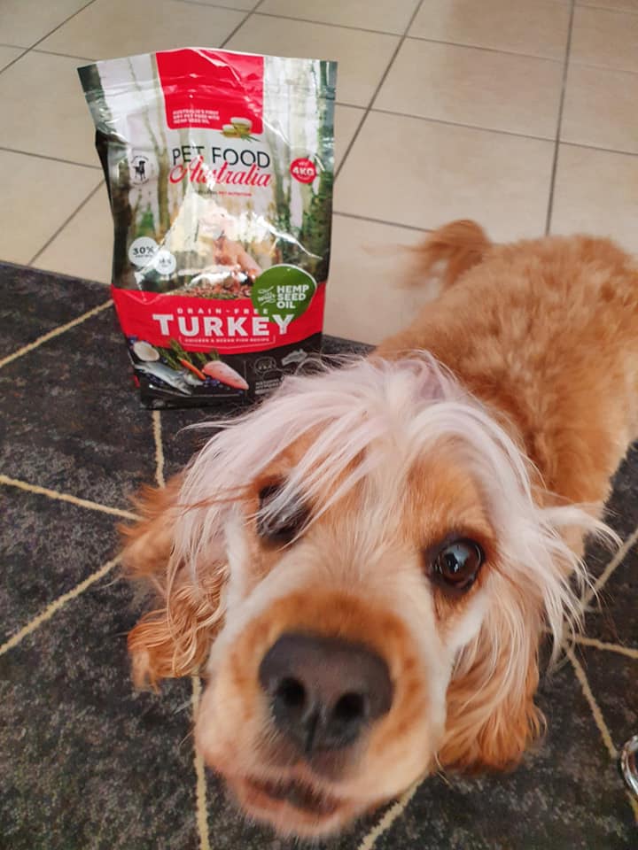Turkey, Chicken & Ocean Fish Dry Dog Food