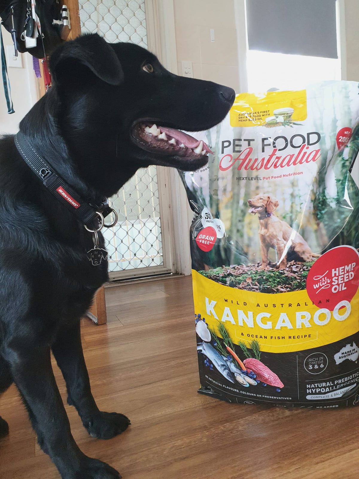 Kangaroo & Ocean Fish Dry Dog Food