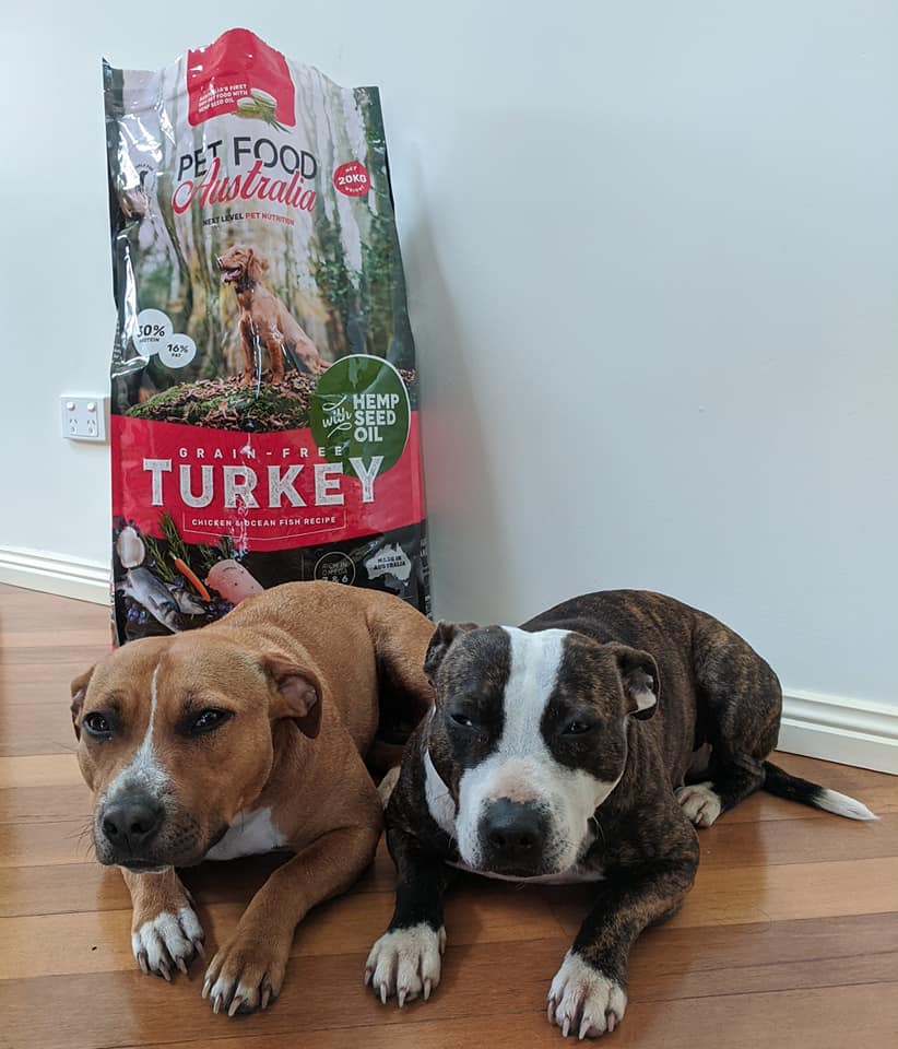 Turkey, Chicken & Ocean Fish Dry Dog Food