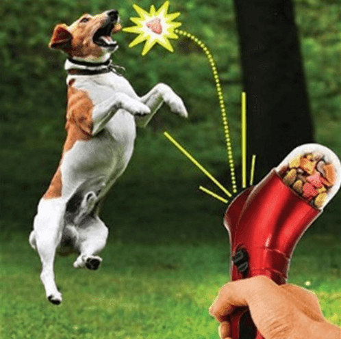 The Pawsome Treat Blaster: Portable Pet Food Catapult Feeder-0