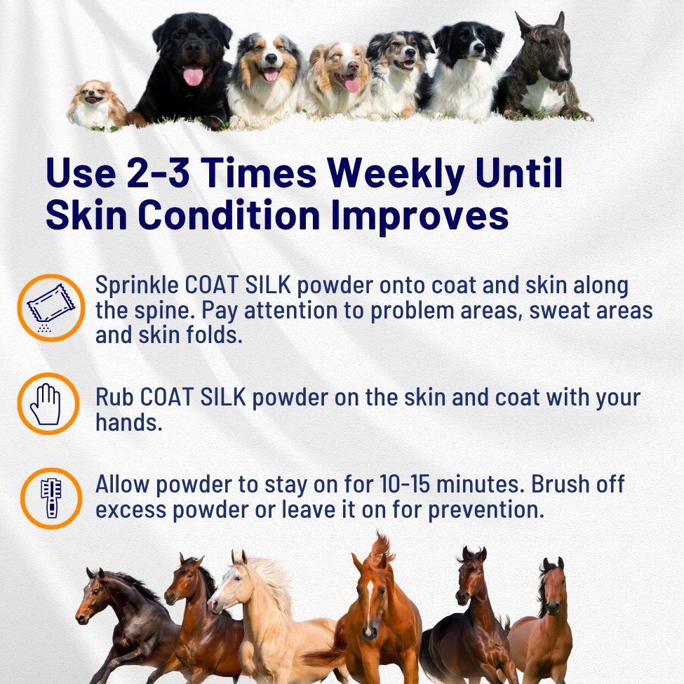 COAT SILK - Canine and Equine Dry Powder | Alleviate Odors and Itchiness | Relieves Rain Rot and Sweet Itch | Holistic Remedy and Soothing Formula-4