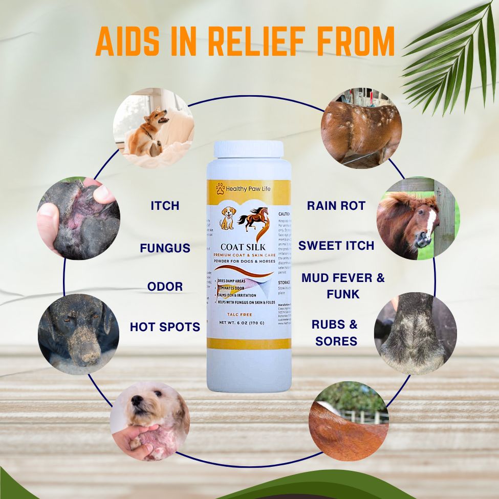 COAT SILK - Canine and Equine Dry Powder | Alleviate Odors and Itchiness | Relieves Rain Rot and Sweet Itch | Holistic Remedy and Soothing Formula-2