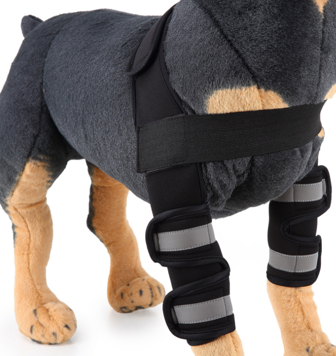 Kniebandage für Hunde