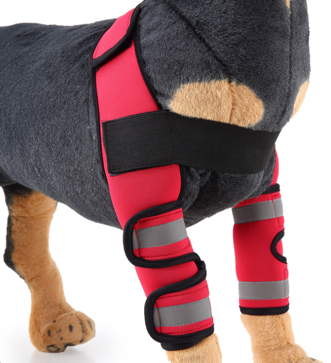 Kniebandage für Hunde