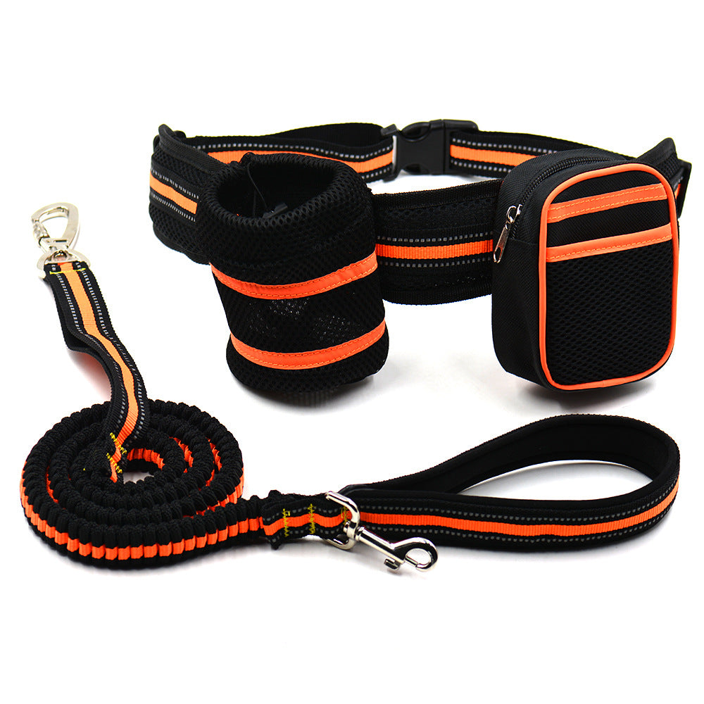 Safety Shine Hunde-Leinen-Set