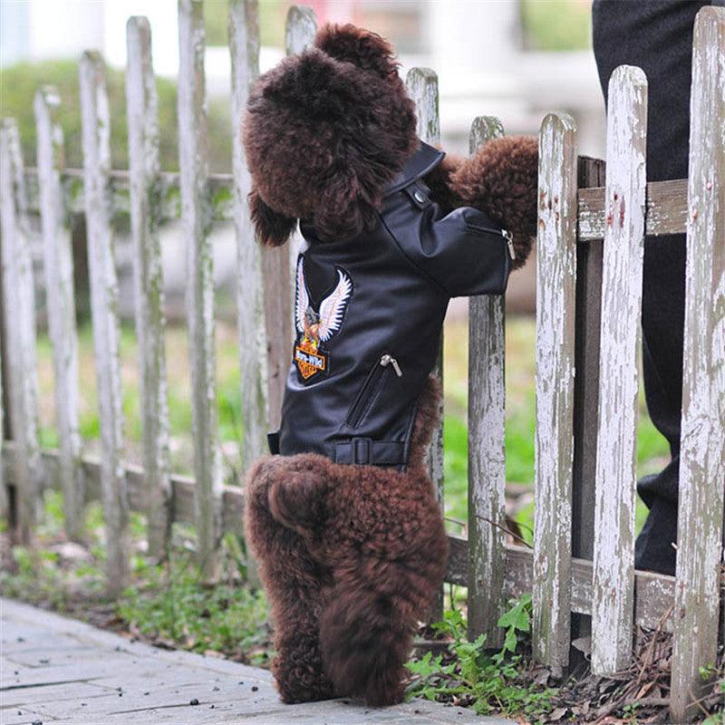Luxury leather dog coat