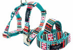 Step-In Harness & Lead Set — Tropical