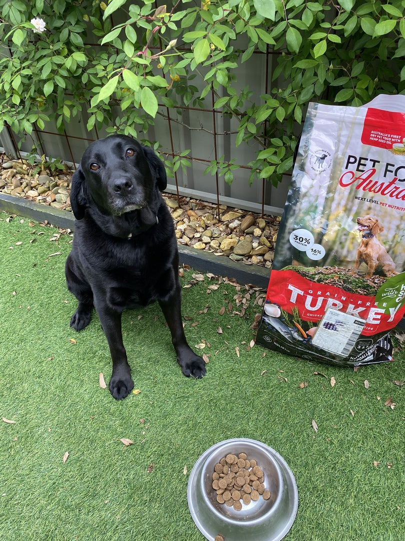 Turkey, Chicken & Ocean Fish Dry Dog Food