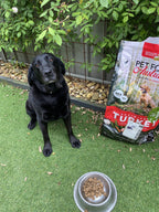 Turkey, Chicken & Ocean Fish Dry Dog Food