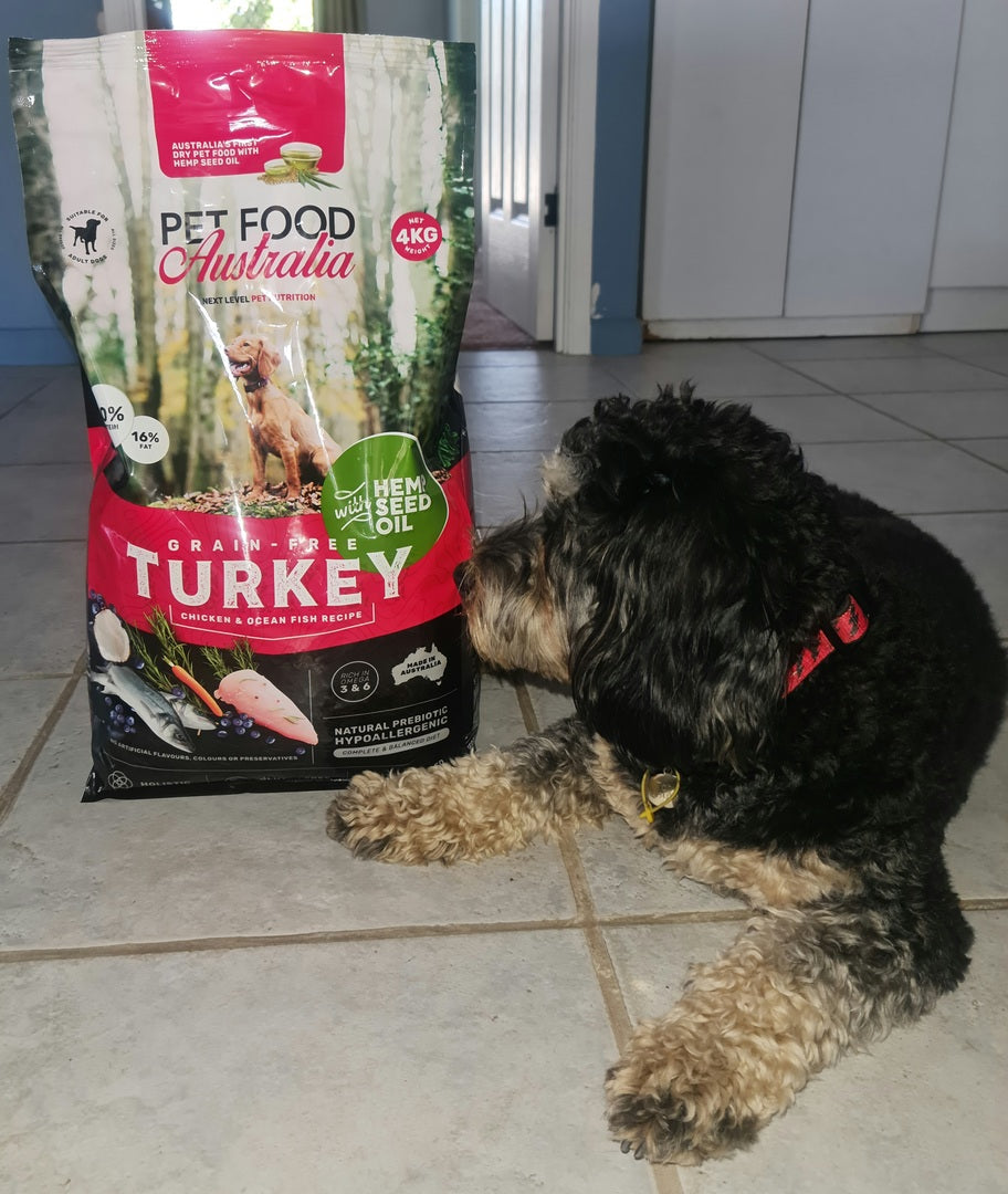 Turkey, Chicken & Ocean Fish Dry Dog Food