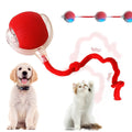 EcoTough Interactive Pet Play Ball