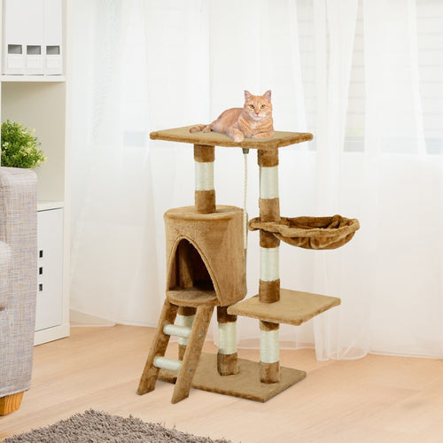 Cat activity tree