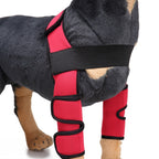 Kniebandage für Hunde