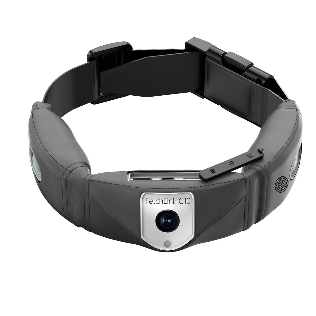 C10 Intelligentes Haustier-Wellness-Halsband