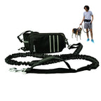 PoochPal Jogging-Begleiter-Gürtel