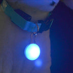 LED Pet Collar Light Clip On Tag for Night Visibility on Dog or Cat Leash
