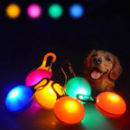 LED Pet Collar Light Clip On Tag for Night Visibility on Dog or Cat Leash