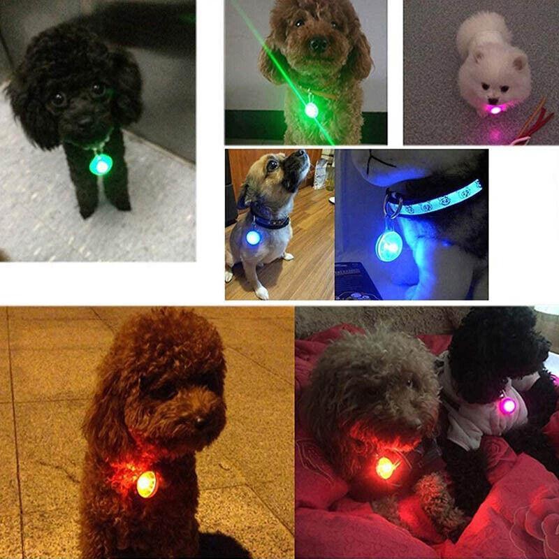 LED Pet Collar Light Clip On Tag for Night Visibility on Dog or Cat Leash