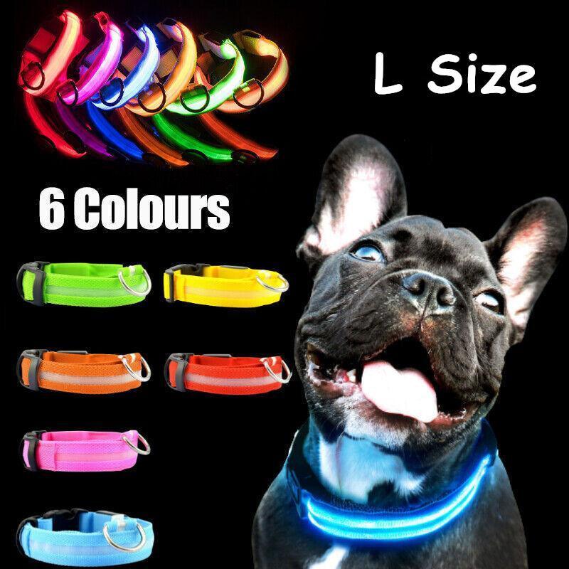 Rechargeable LED Dog Collar — Large