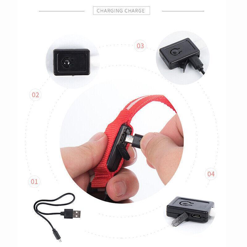 Rechargeable LED Dog Collar — Large