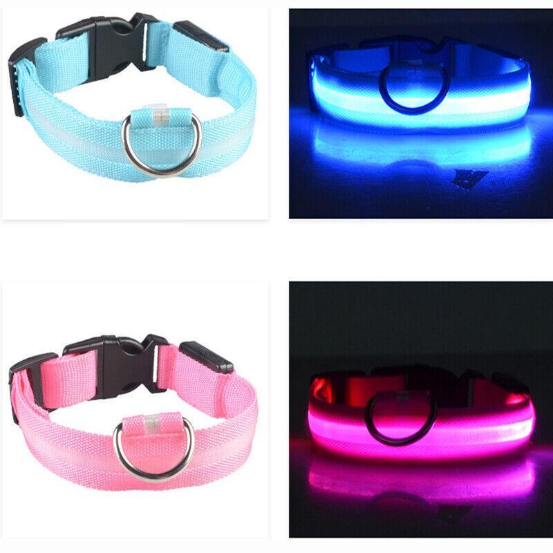 Rechargeable LED Dog Collar — Large