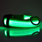 Rechargeable LED Dog Collar — Large