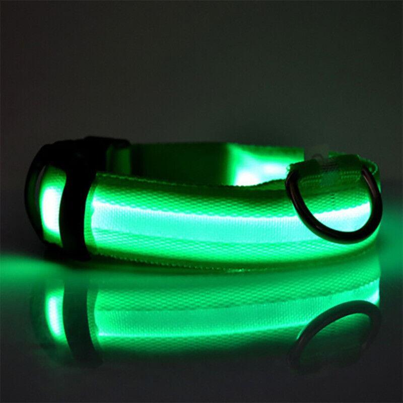 Rechargeable LED Dog Collar — Large