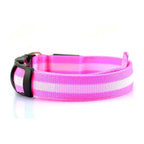 Rechargeable LED Dog Collar — Large