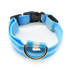 Rechargeable LED Dog Collar — Large