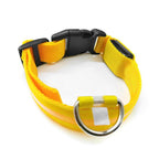 Rechargeable LED Dog Collar — Large