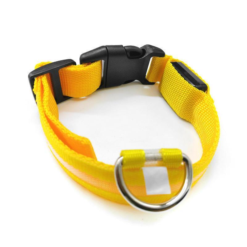Rechargeable LED Dog Collar — Large