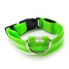 Rechargeable LED Dog Collar — Large