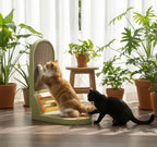 Vertical Cat Scratching Board with Built-In Ball Toy