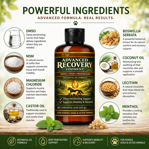 Advanced Recovery Liniment for Horses, Dogs & Active Animals | Veterinary Liniment Gel | DMSO, MSM, Magnesium & Castor Oil Liniment for Joint & Muscle Pain-1