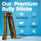 7" Jumbo Bully Sticks - Bully Bone Included