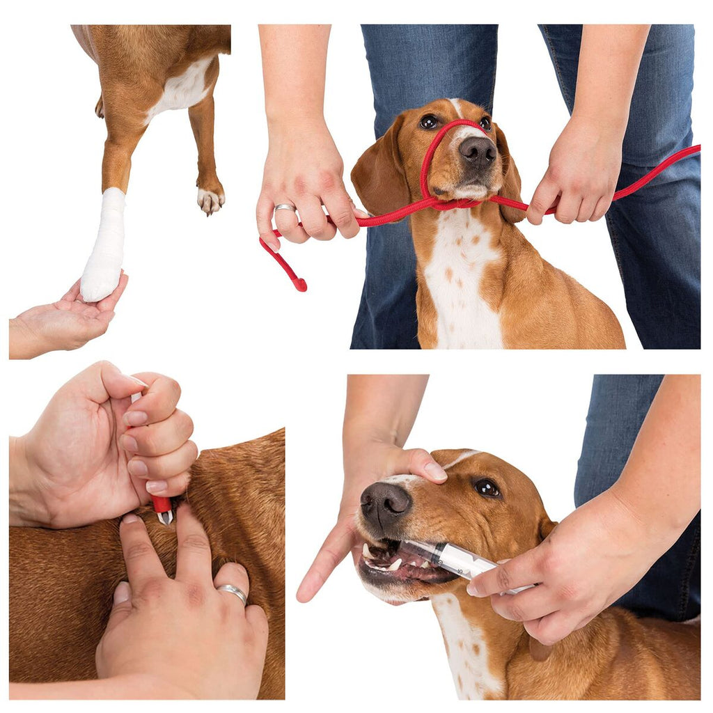 Pet First Aid Kit — 11 Pieces