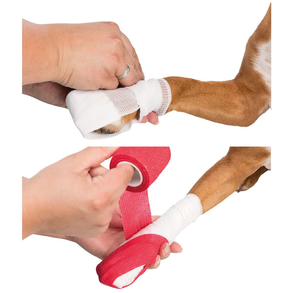 Pet First Aid Kit — 11 Pieces