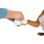 Pet First Aid Kit — 11 Pieces