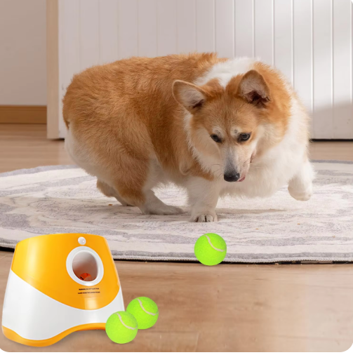 PoochPlay Automatic Fetch Master