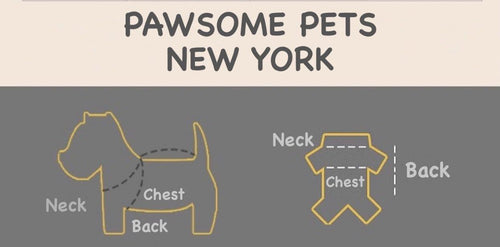 Dog And Cat Cable Knit Sweater – Yellow — view 2
