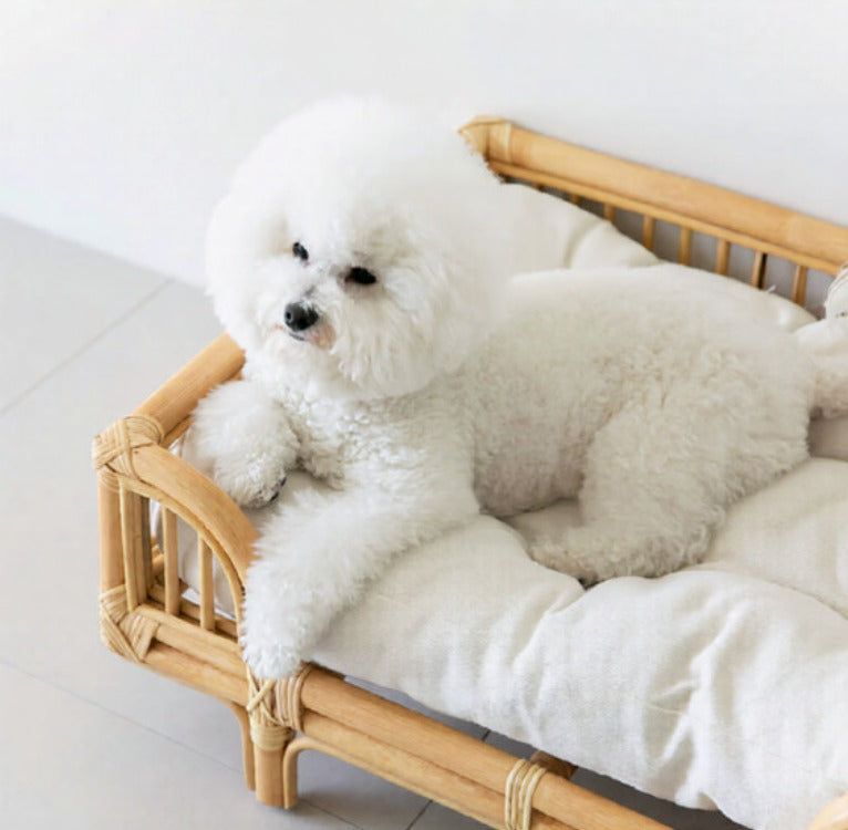 Eco Rattan Square Dog Lounger