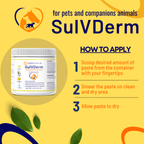 SulVDerm – Advanced Sulfur Paste for Skin Health in Companion Animals-3